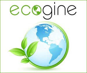 Ecogine